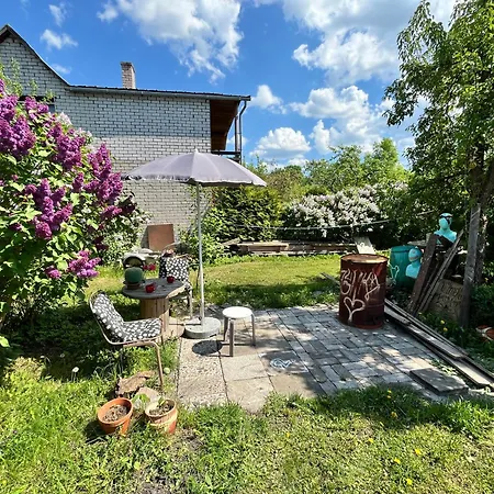 Rustic Garden In *